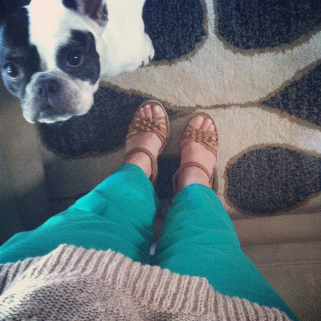 Frenchie, French Bull Dog, Bright Green Pants 