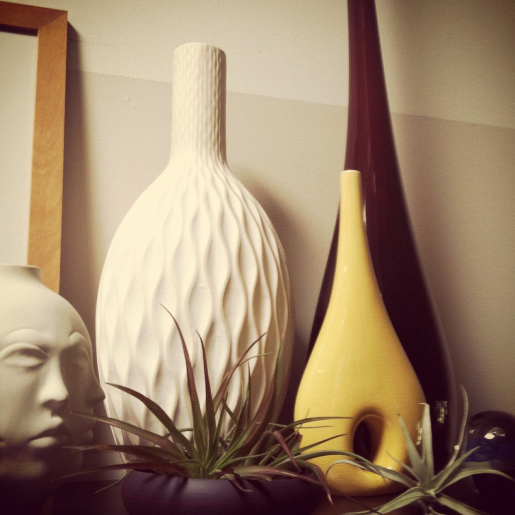 Jonathan Adler, Air Plants, Decorative Vases 
